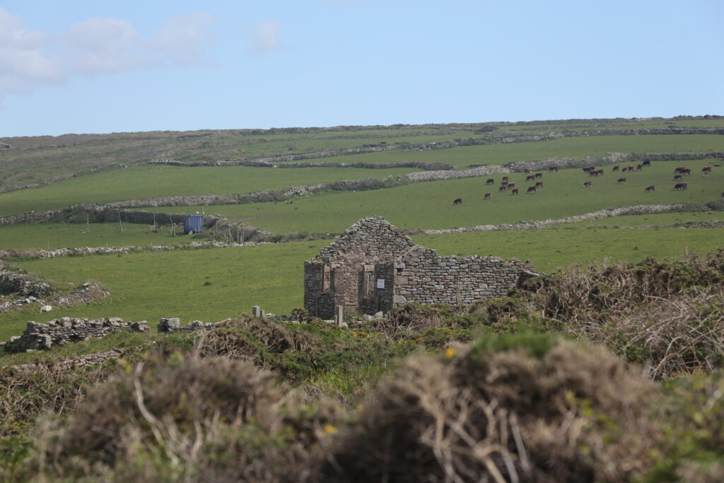fields with stone walls, and a stone ruin