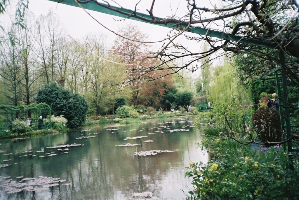 Lilly pond at Monet's garden