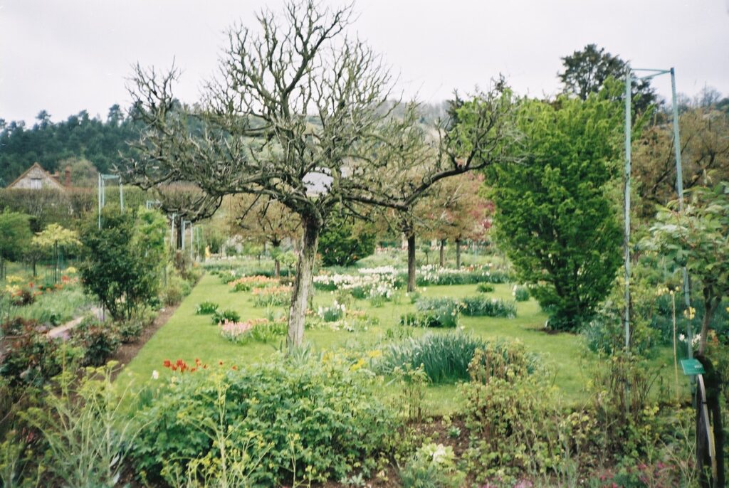 Trees and lawn with flowers outside Monet's house